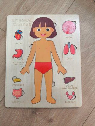 Cuerpo humano