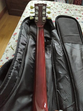 Guitarra Eléctrica Harley Benton SC-550 II