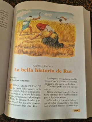 Libro LA BIBLIA PARA LOS MAS JOVENES