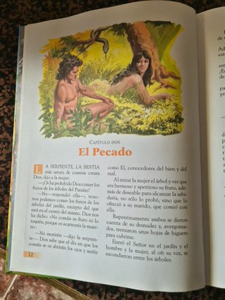 Libro LA BIBLIA PARA LOS MAS JOVENES