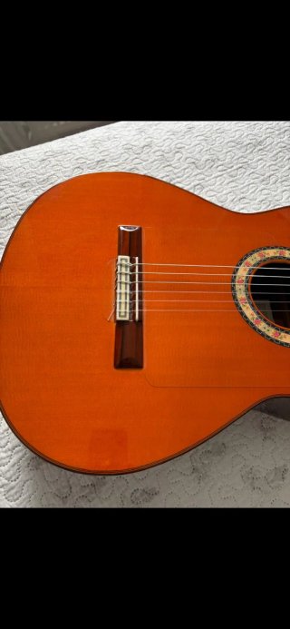 Guitarra Felipe Conde FC28 (2015)