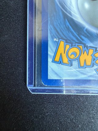 Carta Pokémon Scraggy