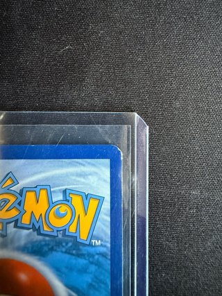 Carta Pokémon Scraggy