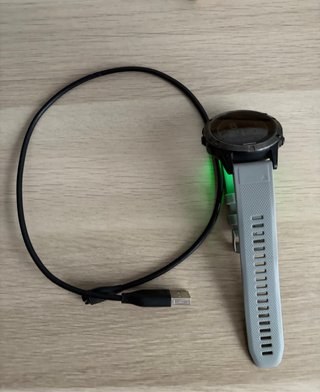 Garmin Fenix 5 Gris con Cargador