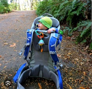 Mochila Portabebé Thule Sapling Elite