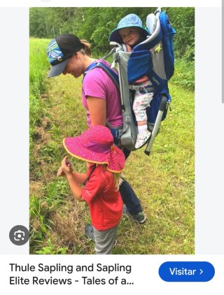 Mochila Portabebé Thule Sapling Elite