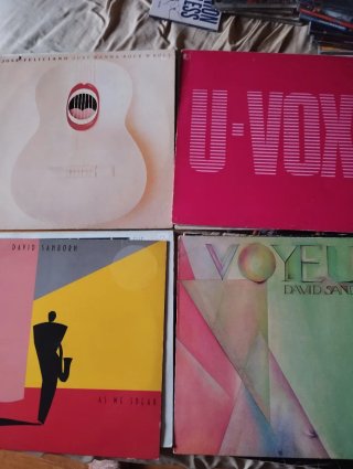 Lote de 38 Vinili Pop/Rock internazionali FUNK