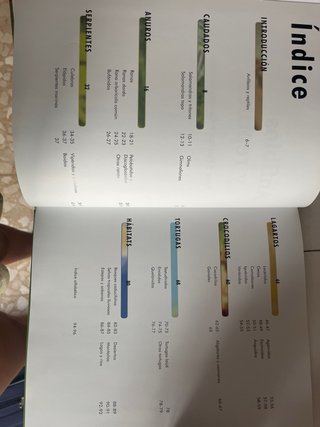 libro infantil de anfibios y reptiles