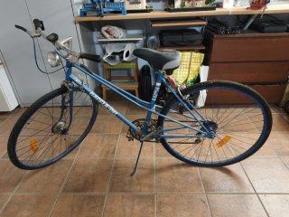 Bicicleta Gacela-BH Azul