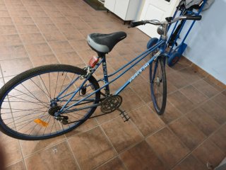 Bicicleta Gacela-BH Azul