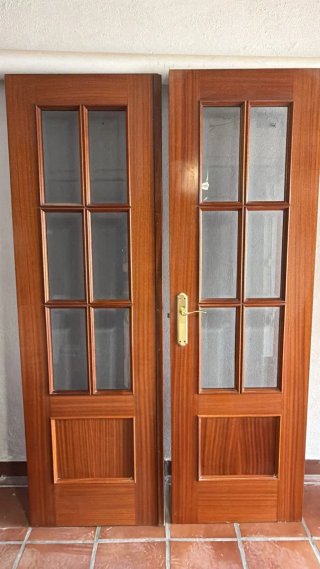 Puertas Gemelas de Salón con Cristal