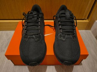 Nike Air Zoom Pegasus 40 - Talla 42.5