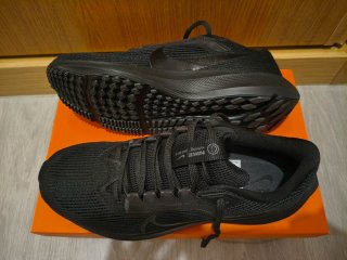 Nike Air Zoom Pegasus 40 - Talla 42.5