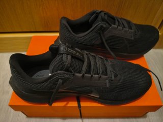 Nike Air Zoom Pegasus 40 - Talla 42.5