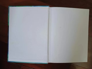 Disney Pocahontas Libri per Ragazzi Mondadori 1995