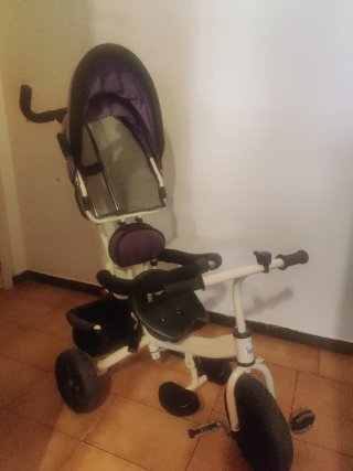 Triciclo Evolutivo con Capota