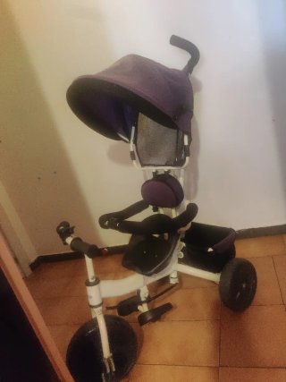 Triciclo Evolutivo con Capota
