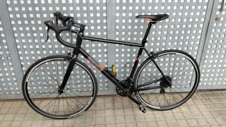 Pinnacle Dolomite One 2024 T54