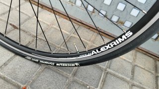 Pinnacle Dolomite One 2024 T54