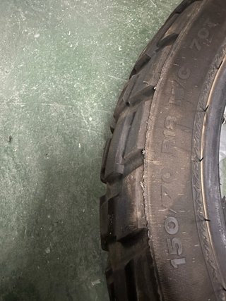 Neumáticos Dunlop Trailmax Raid