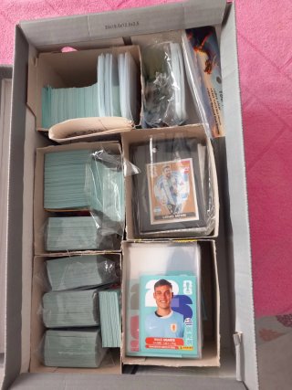 Colección Cromos Mundial FIFA