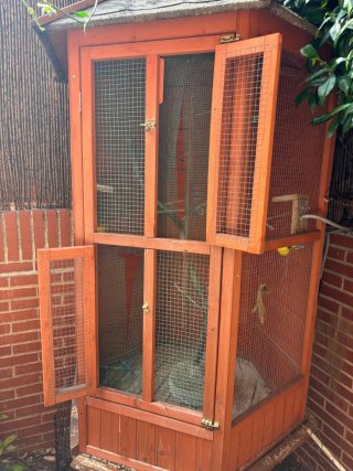 Jaula voladera para pájaros de madera