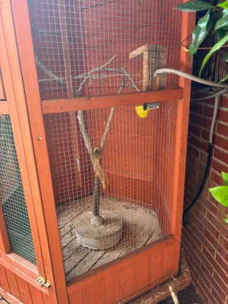 Jaula voladera para pájaros de madera