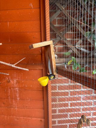 Jaula voladera para pájaros de madera
