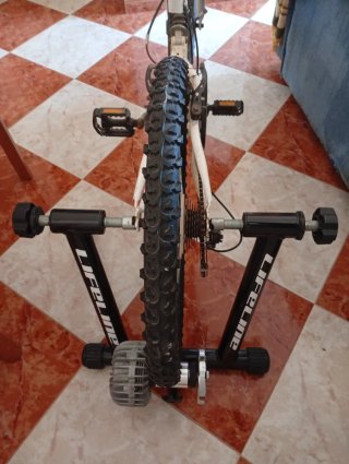 Rodillo de entrenamiento LifeLine