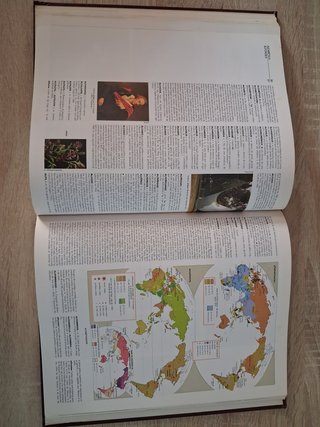 Diccionario enciclopédico Larousse
