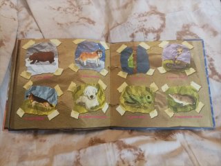 As linguas dos animais