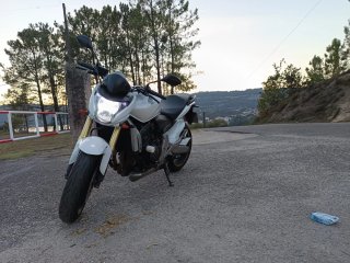 Honda CB600 Hornet
