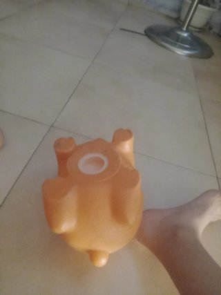 Hucha de Cerdo