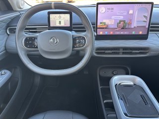 Dongfeng Box Plus 42Kw MY24