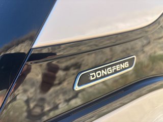 Dongfeng Box Plus 42Kw MY24