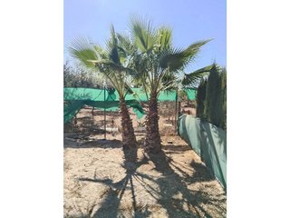 Casa en venta en Carmona