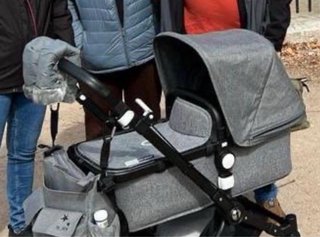 Carrito de Bebé Bugaboo Cameleon 3 Plus