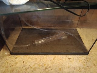 Acuario de cristal 50 ltrs REGALO accesorios