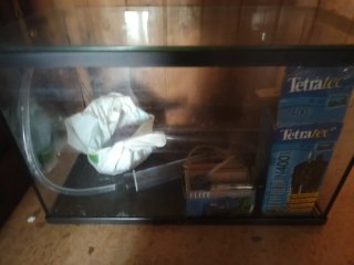 Acuario de cristal 50 ltrs REGALO accesorios