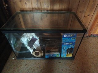 Acuario de cristal 50 ltrs REGALO accesorios