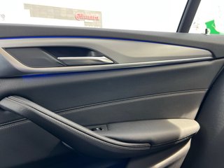 BMW Serie 530e / G30 / Etiqueta 0 / 2020