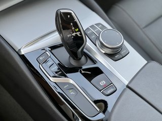 BMW Serie 530e / G30 / Etiqueta 0 / 2020