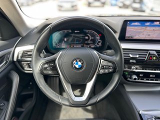 BMW Serie 530e / G30 / Etiqueta 0 / 2020