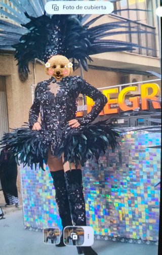 Disfraz de Carnaval Negro con Plumas