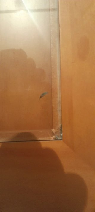 Mesa centro elevable madera y cristal