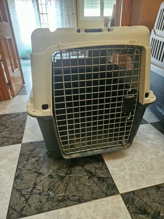 Jaula de Transporte para Perros Medianos