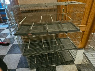 Jaula grises para pajaros