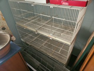 Jaulas para pájaros