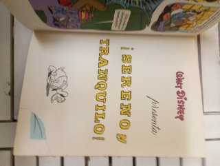 Libro de cuentos Disney antiguo