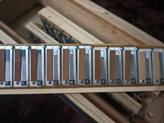 Acordeón Hohner Verdi III B 120 Bajos